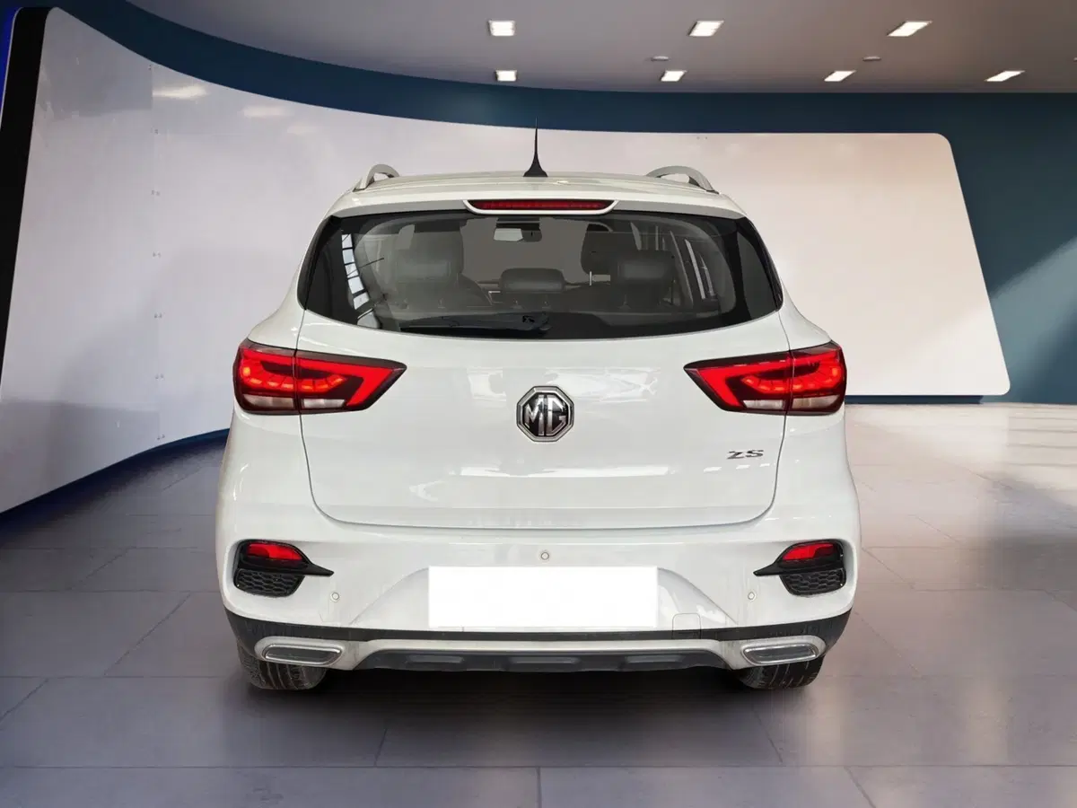 Mg ZS usata a Torino (5)
