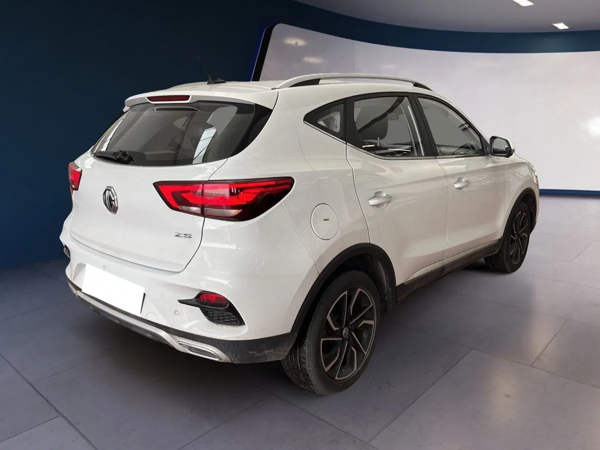 Mg ZS usata a Torino (6)