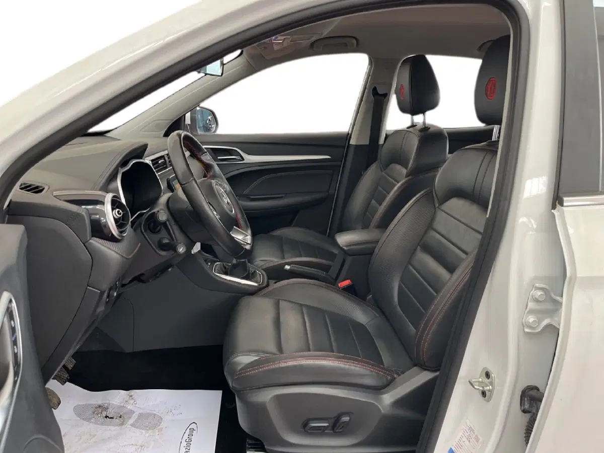 Mg ZS usata a Torino (9)