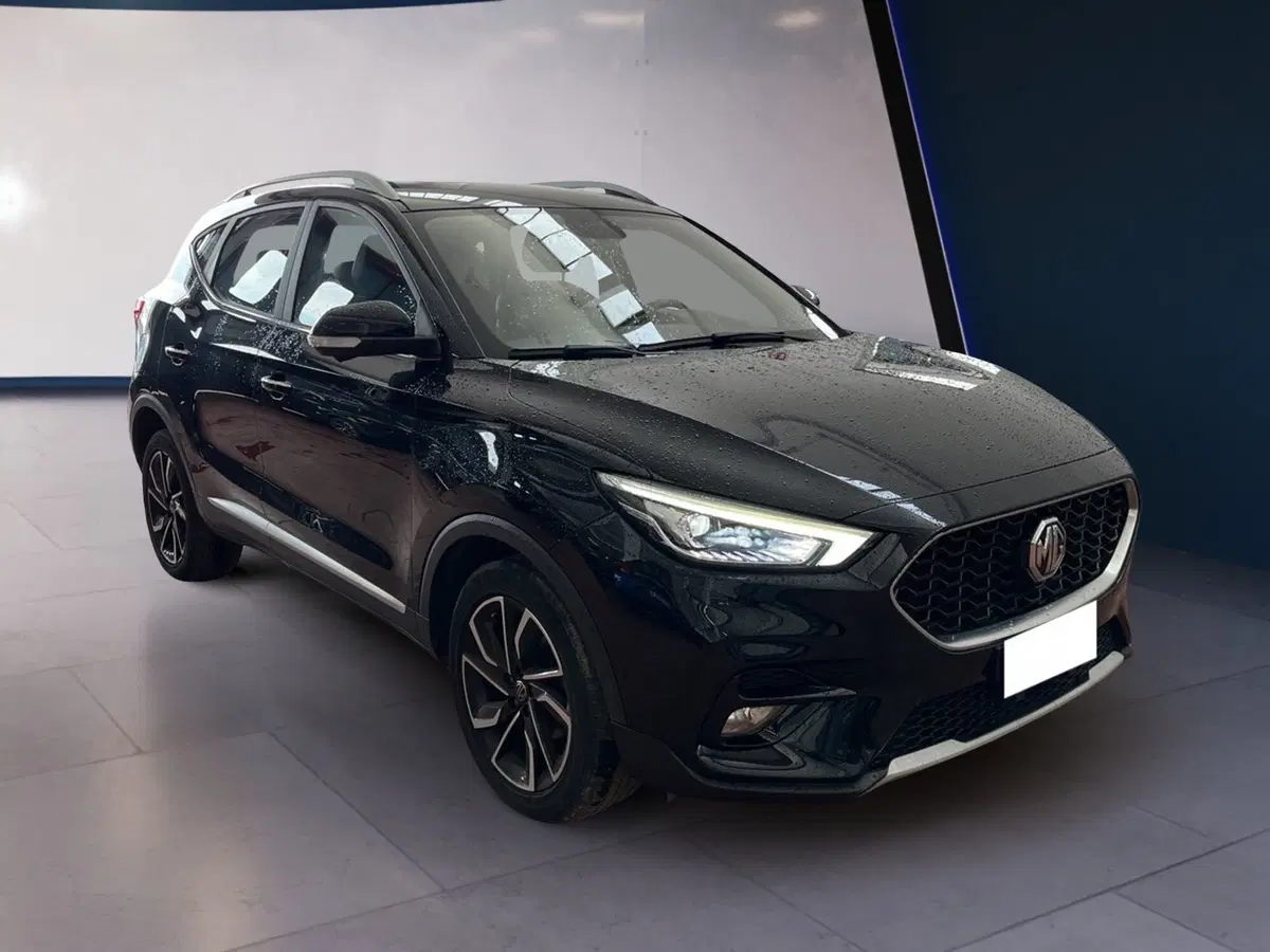 Mg ZS usata a Torino (2)