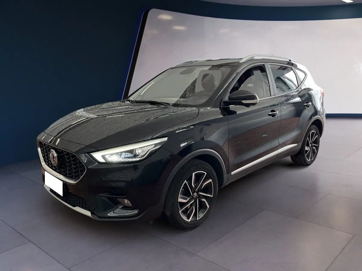 Mg ZS usata a Torino (3)