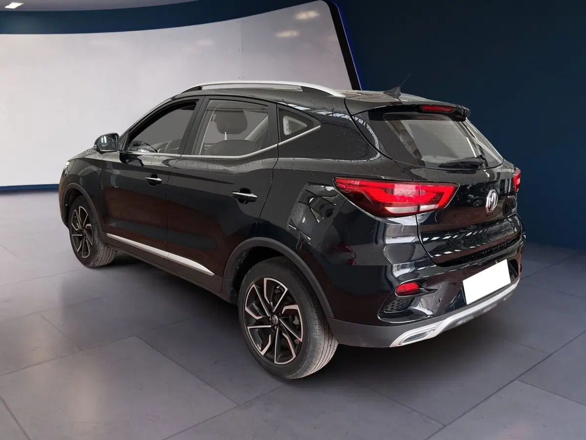 Mg ZS usata a Torino (4)