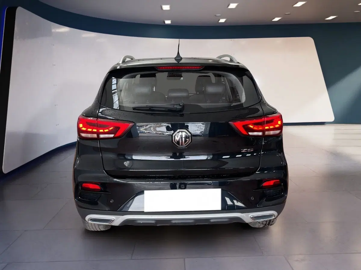 Mg ZS usata a Torino (5)