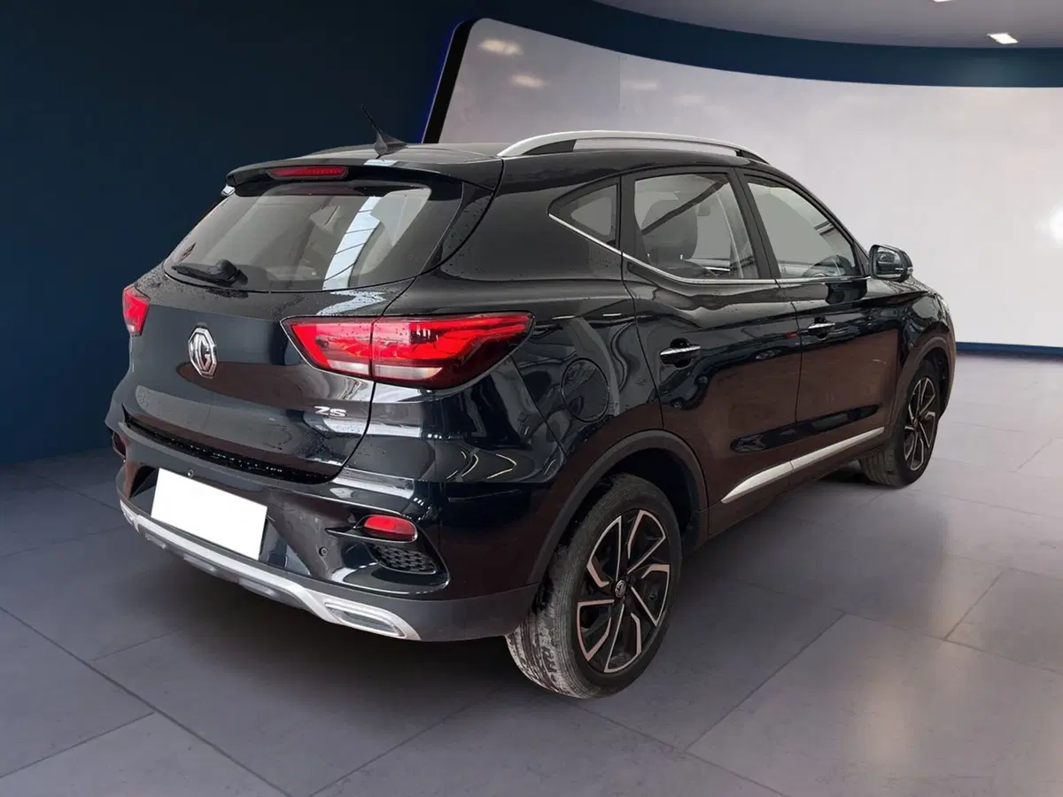 Mg ZS usata a Torino (6)