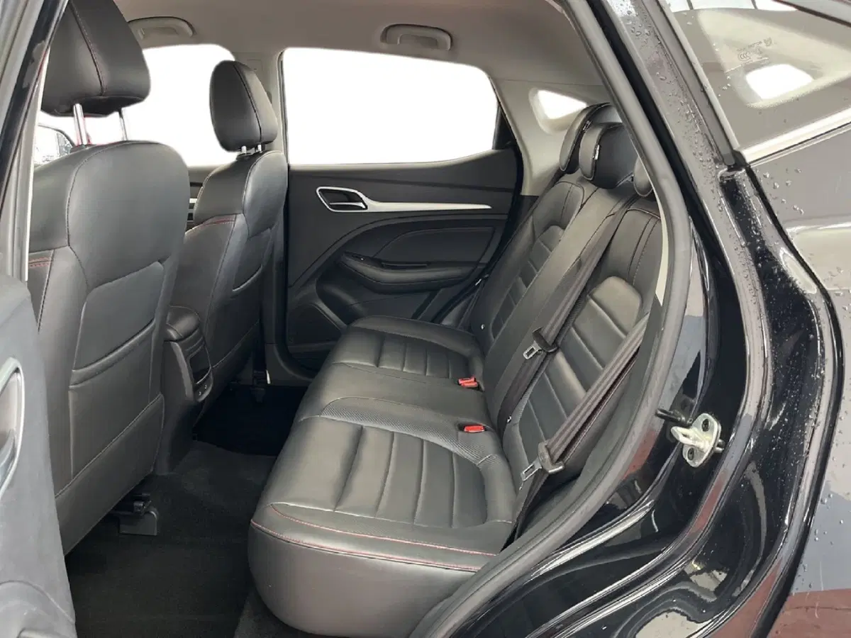 Mg ZS usata a Torino (7)