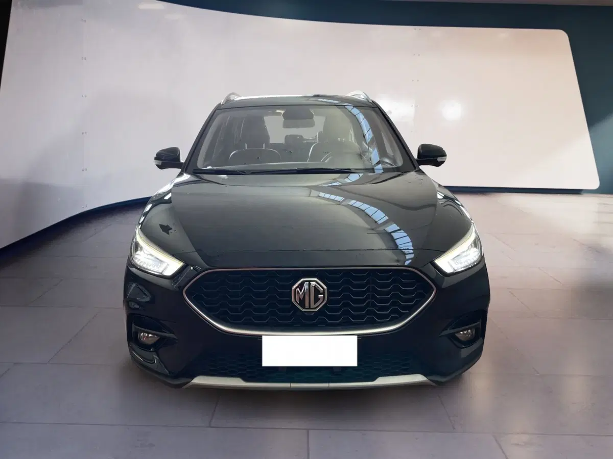 Mg ZS usata a Torino