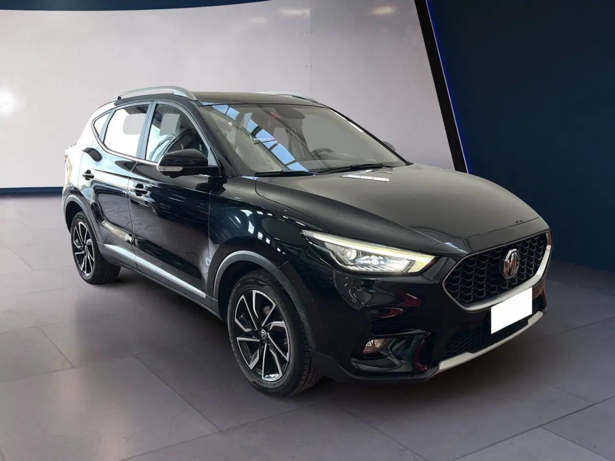 Mg ZS usata a Torino (2)