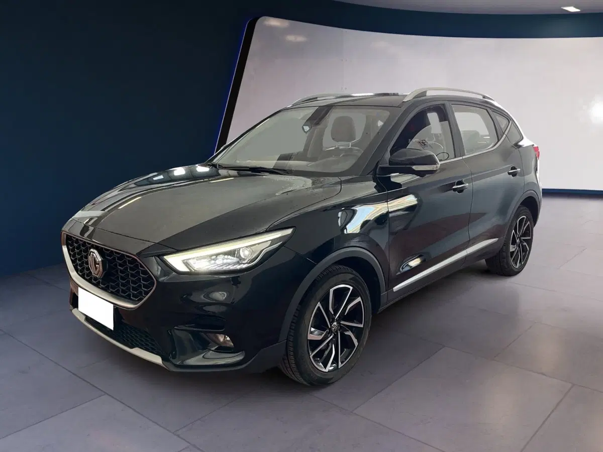 Mg ZS usata a Torino (3)