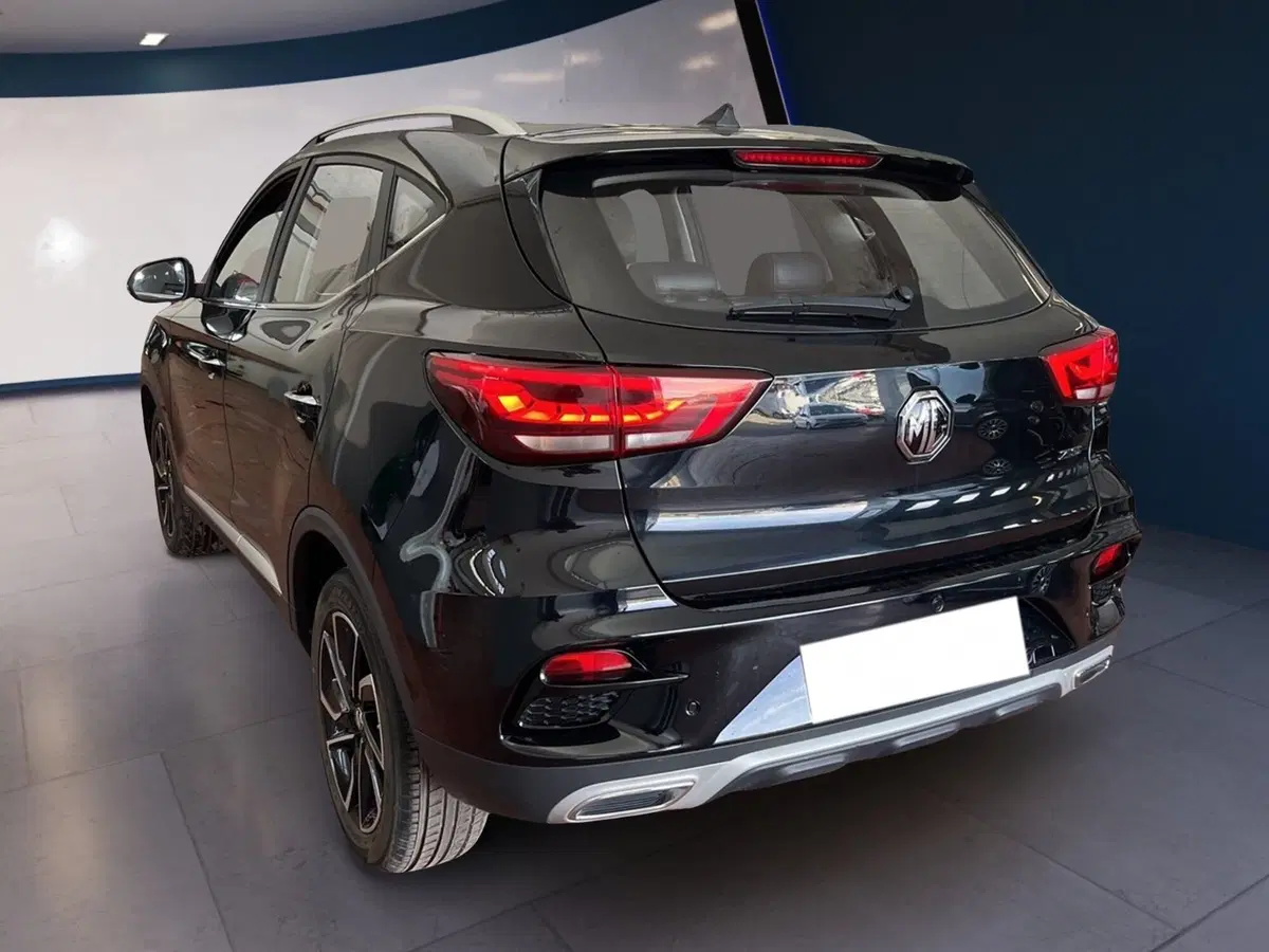 Mg ZS usata a Torino (4)