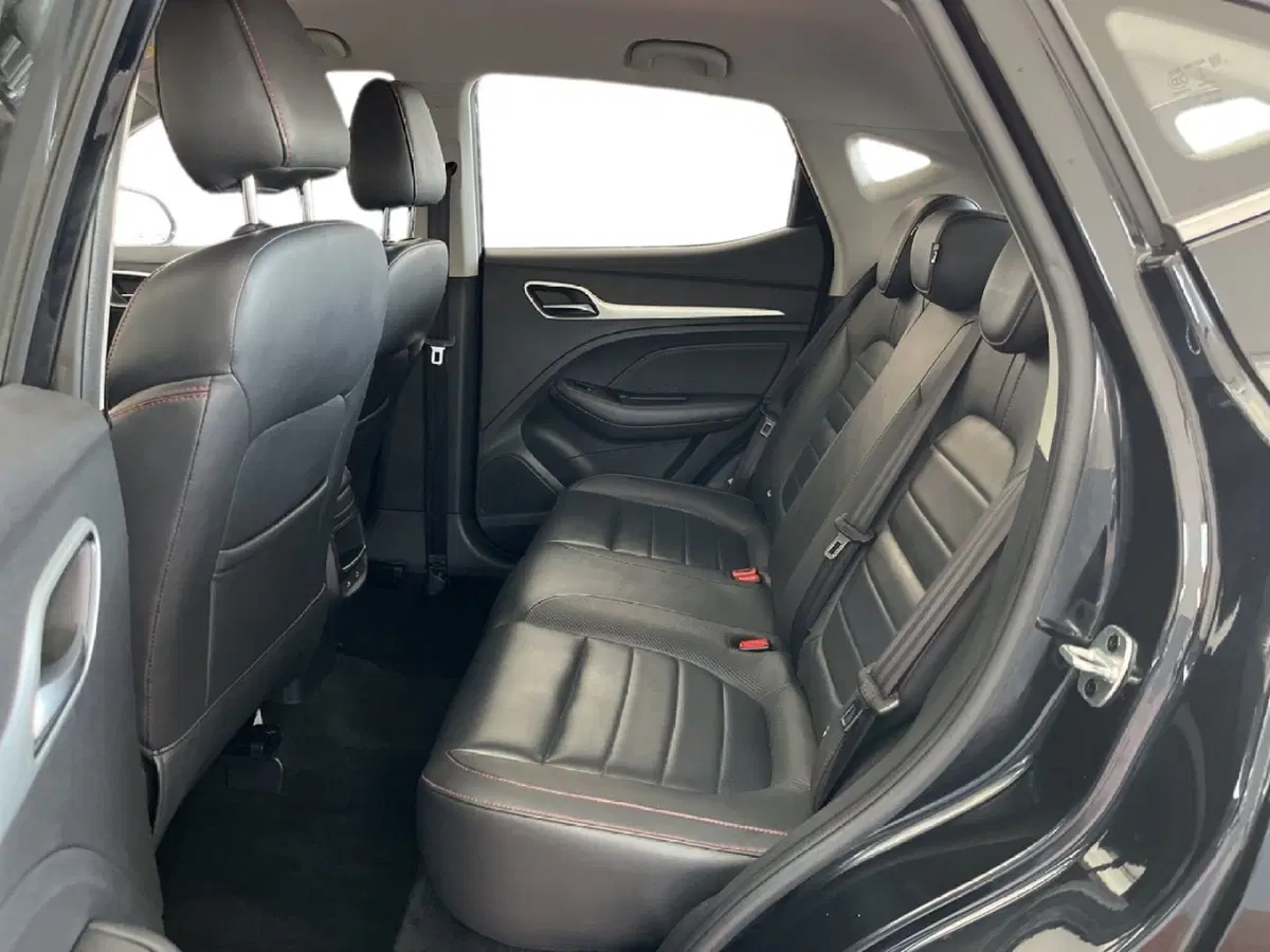 Mg ZS usata a Torino (9)