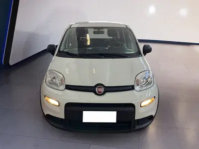 Fiat Panda Cross Cross 1.0 FireFly S&amp;S Hybrid del 2023 usata a Torino