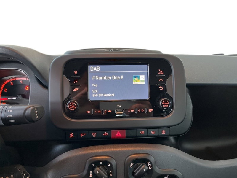 Fiat Panda Cross usata a Torino (12)