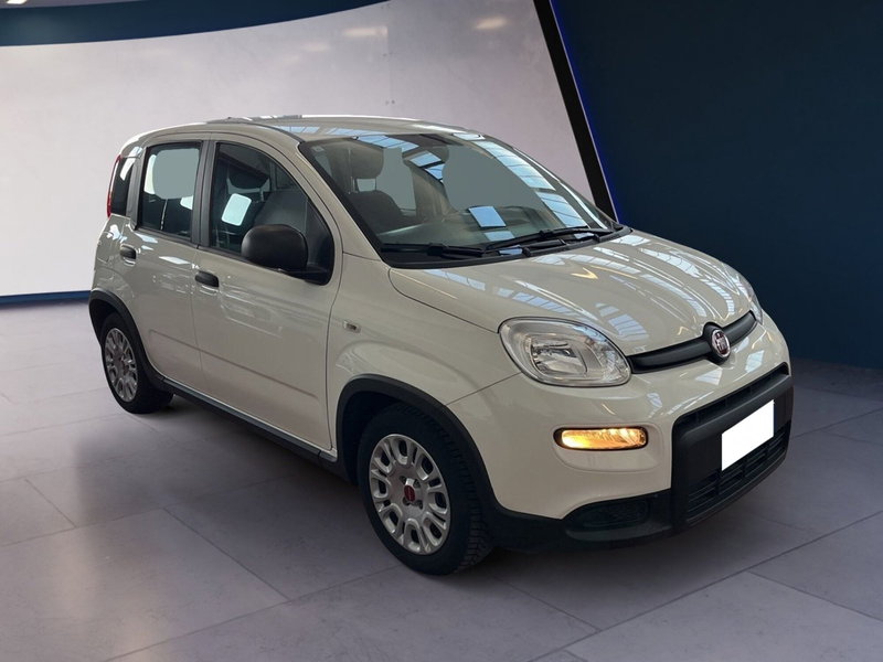 Fiat Panda Cross usata a Torino (2)