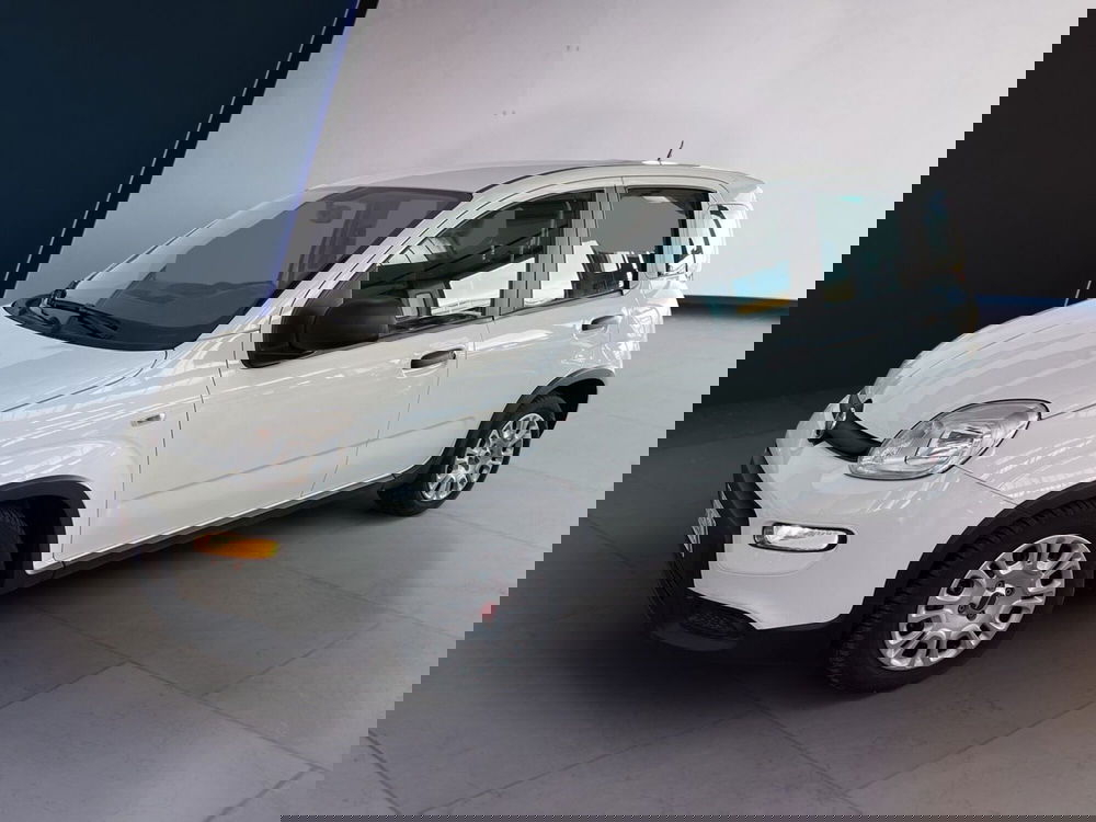 Fiat Panda Cross usata a Torino (3)