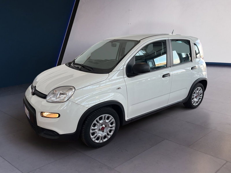 Fiat Panda Cross usata a Torino (3)