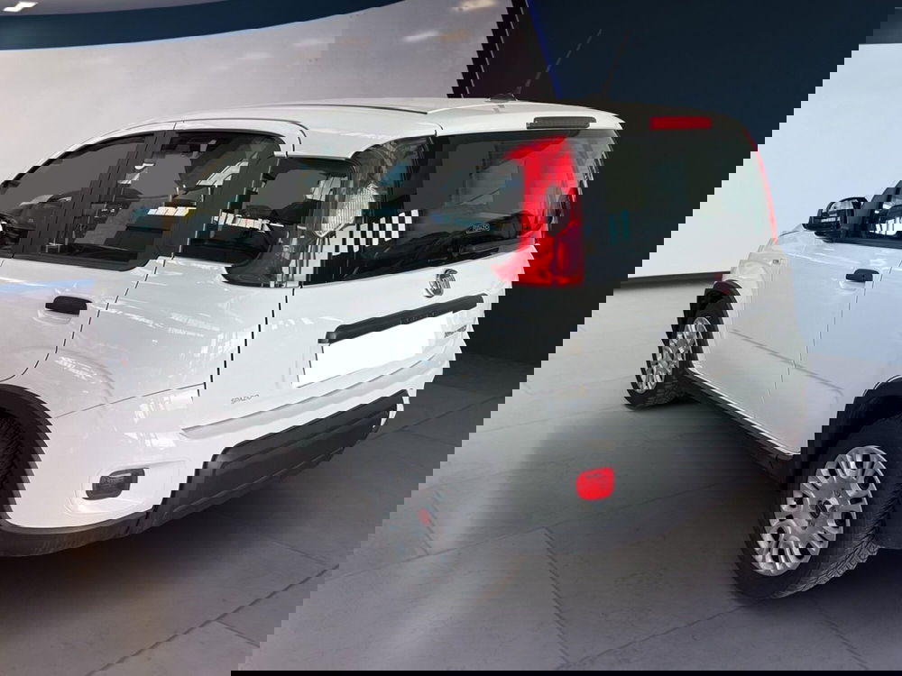 Fiat Panda Cross usata a Torino (4)