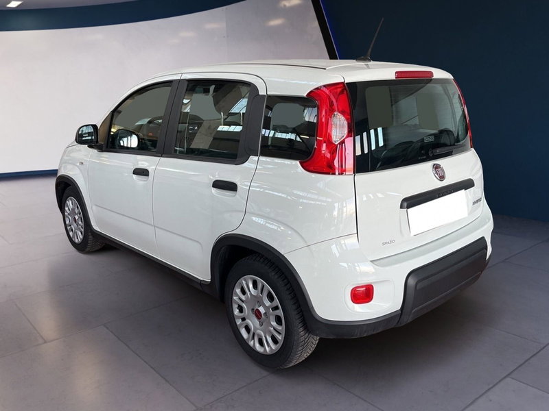 Fiat Panda Cross usata a Torino (4)