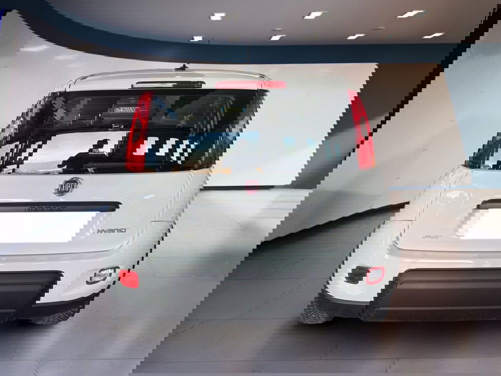 Fiat Panda Cross usata a Torino (5)