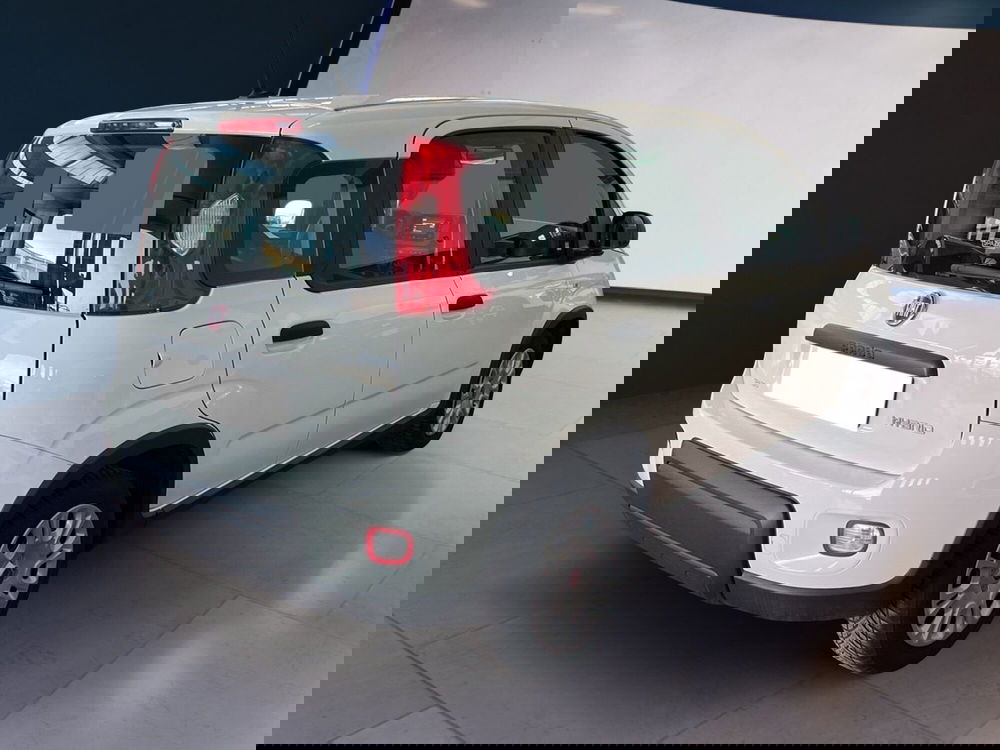 Fiat Panda Cross usata a Torino (6)