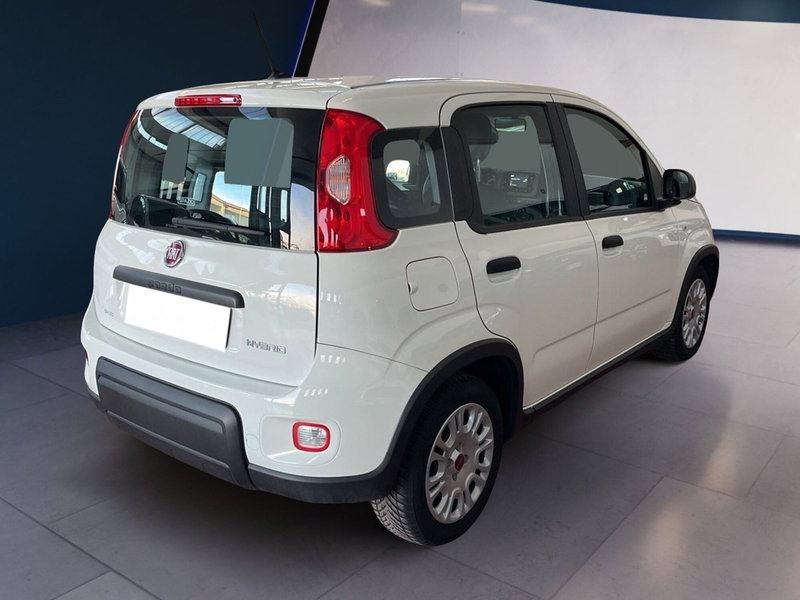 Fiat Panda Cross usata a Torino (6)