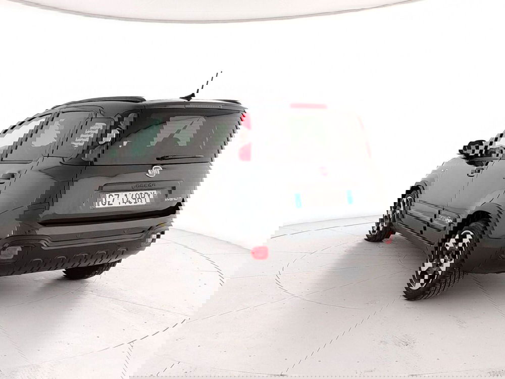 Fiat Panda Cross usata a Caserta (4)