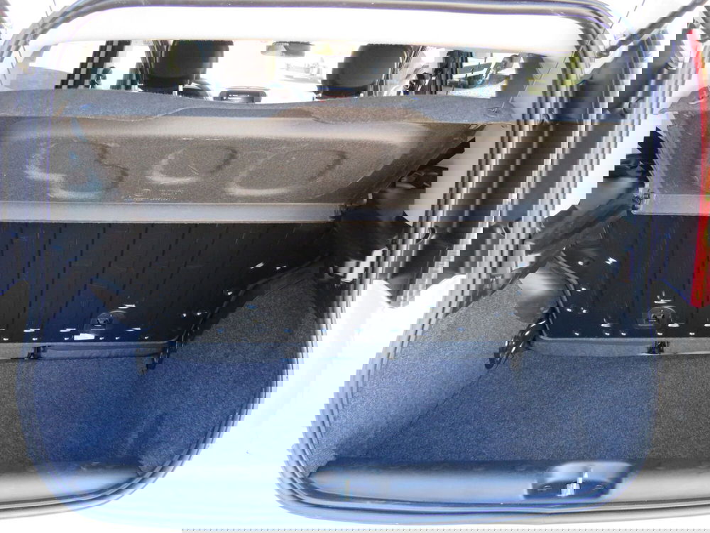 Fiat Panda Cross usata a Monza e Brianza (20)