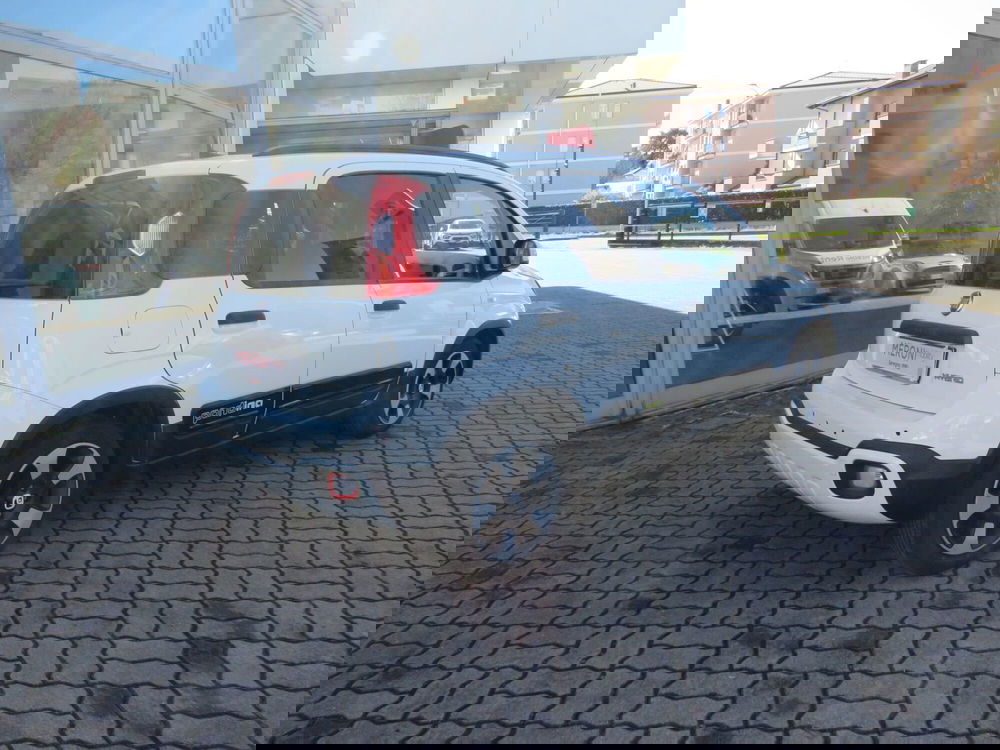 Fiat Panda Cross usata a Monza e Brianza (3)