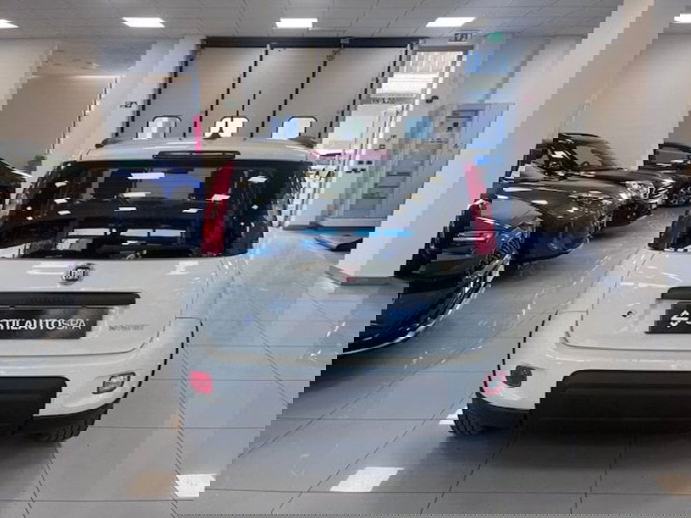 Fiat Panda usata a Prato (5)