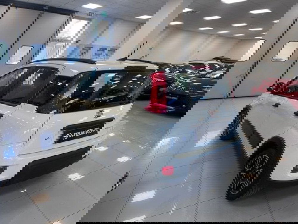 Fiat Panda usata a Prato (6)