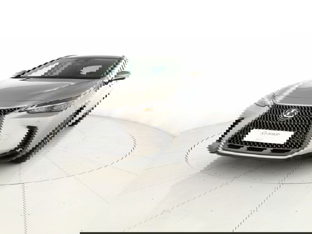 Lexus NX usata a Chieti