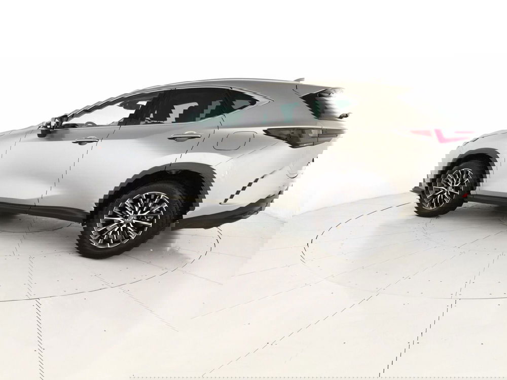 Lexus NX usata a Chieti (2)