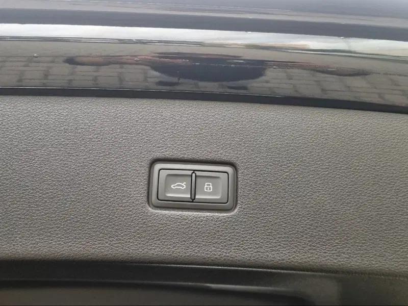 Audi Q8 usata a Firenze (16)