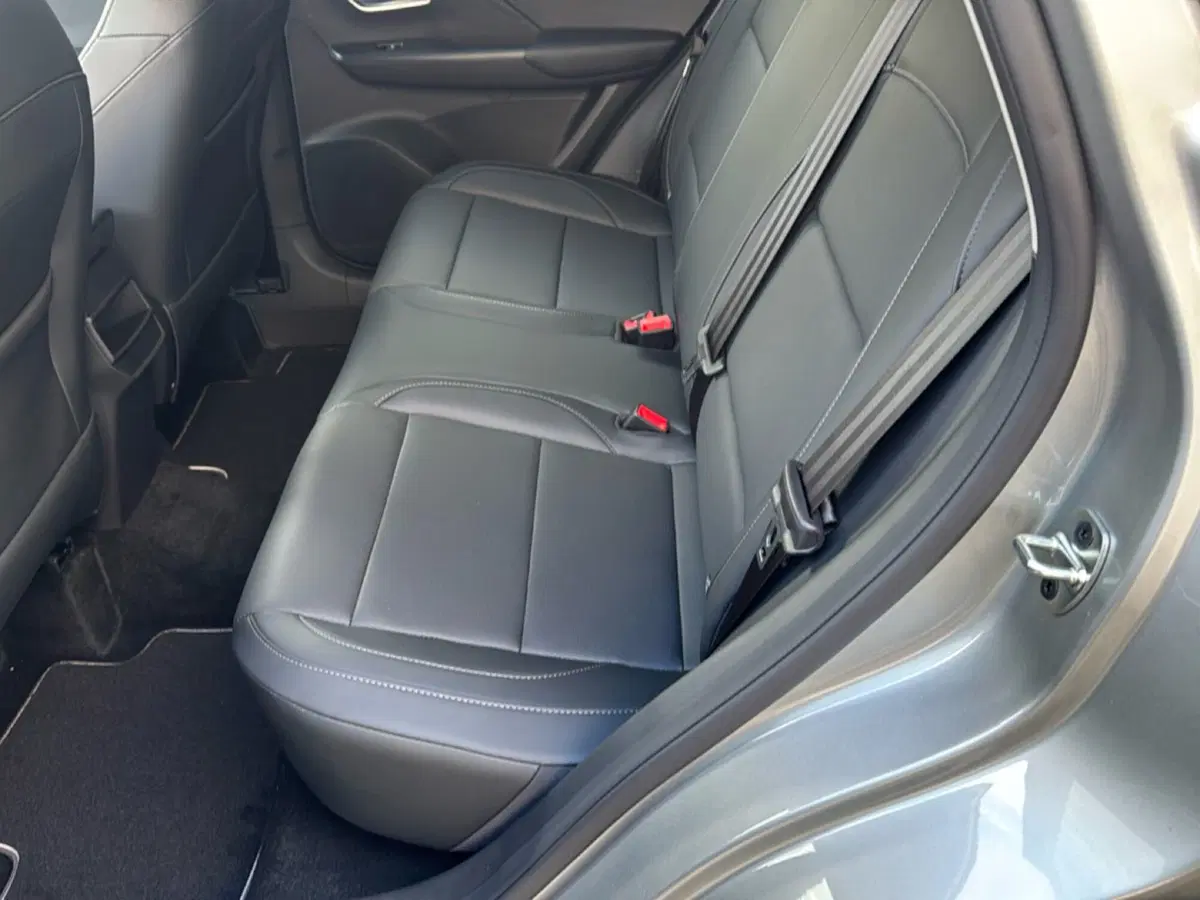 Mg ZS nuova a Ferrara (7)