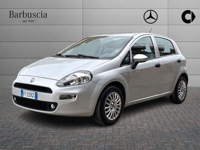Fiat Punto 1.2 8V 5 porte Lounge del 2016 usata a Montesilvano
