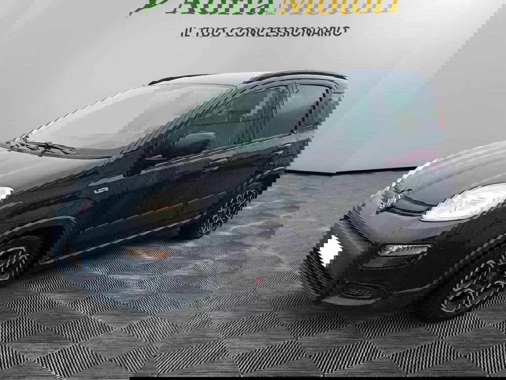 Fiat Panda usata a Pordenone