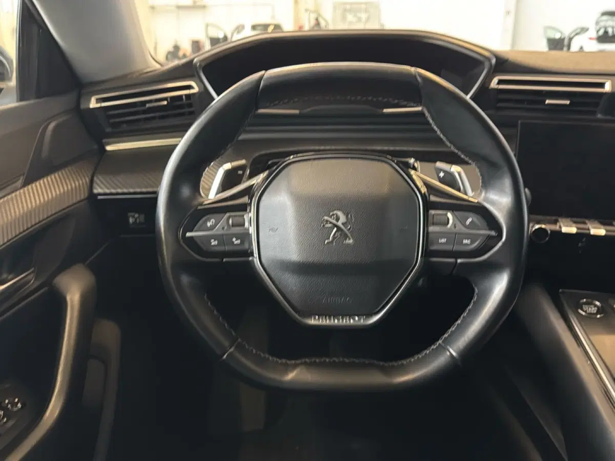 Peugeot 508 SW usata a Pordenone (14)
