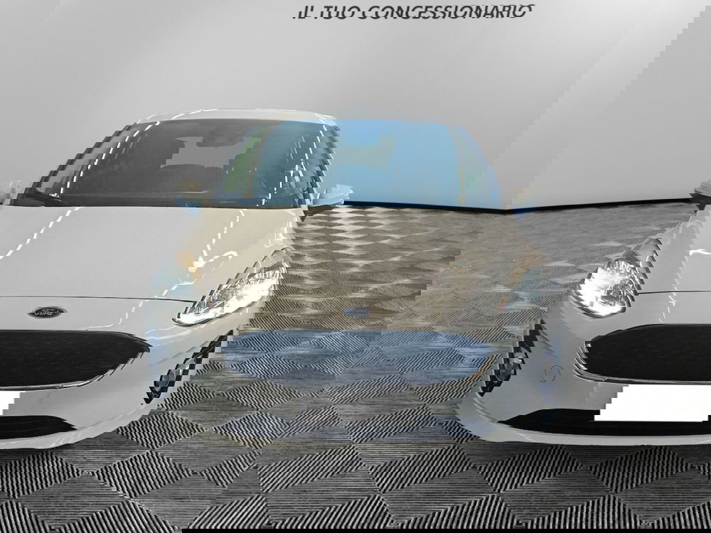 Ford Fiesta usata a Pordenone (8)