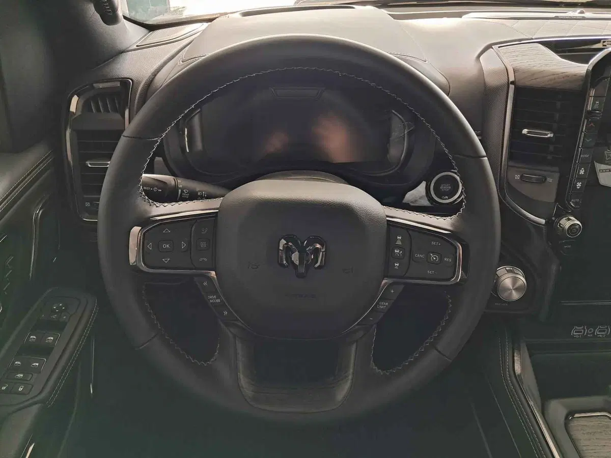 Ram Ram Pick-up usata a Asti (10)