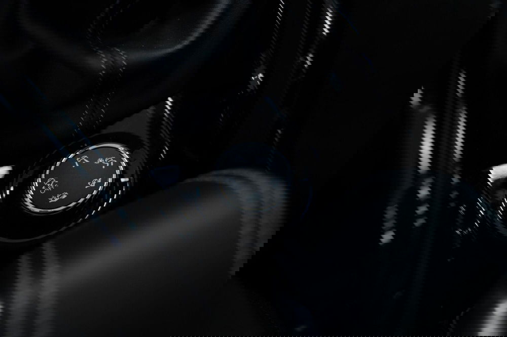 Peugeot 2008 usata a Torino (10)