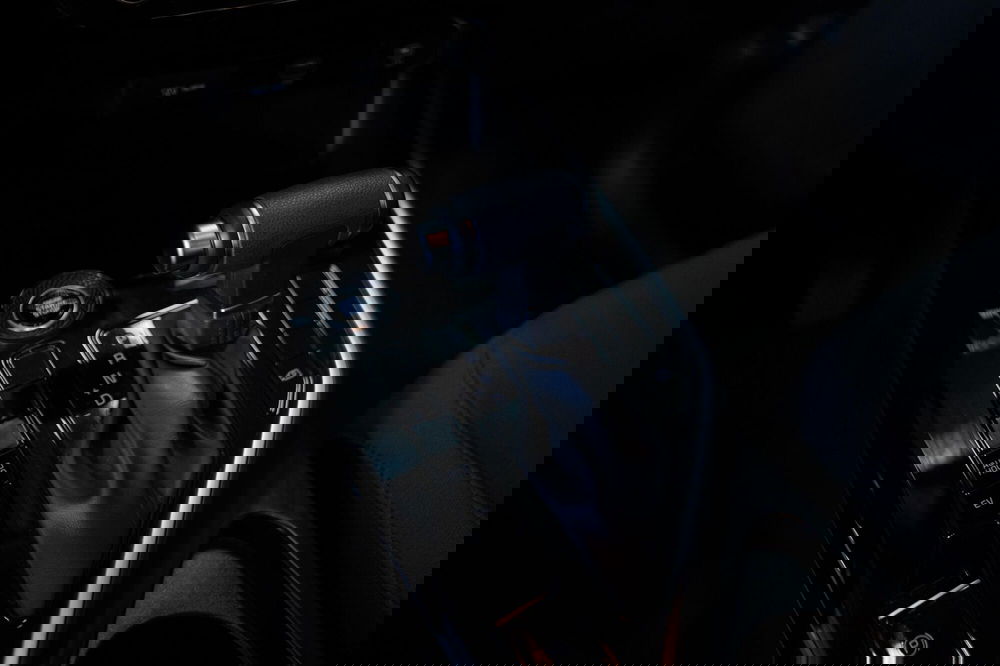 Kia Niro usata a Torino (7)