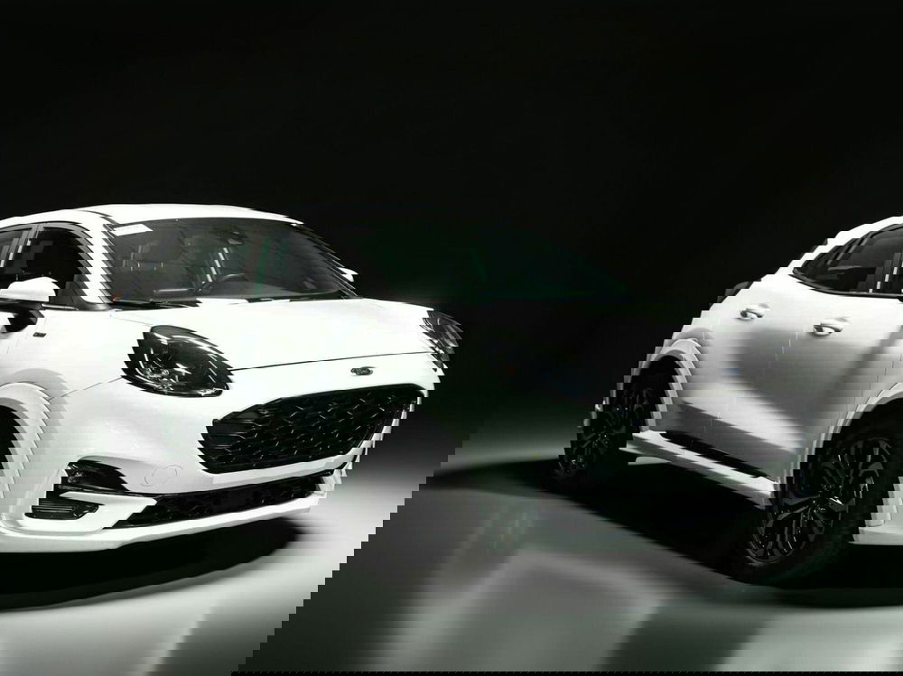 Ford Puma usata a Venezia (6)