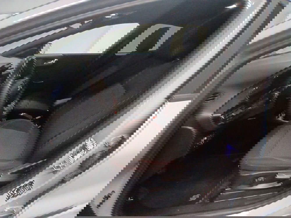 Ford Puma usata a Arezzo (13)