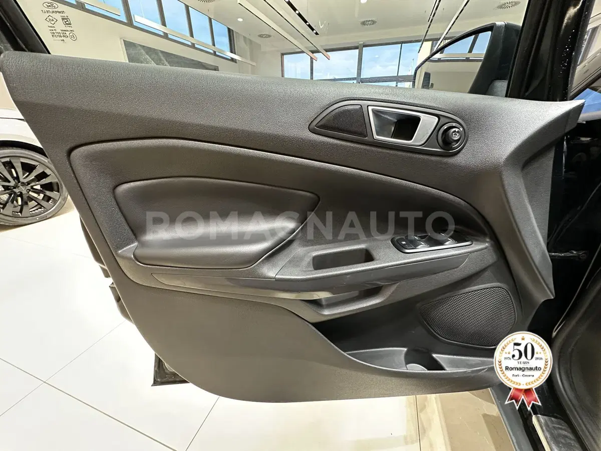 Ford EcoSport usata a Forlì-Cesena (15)