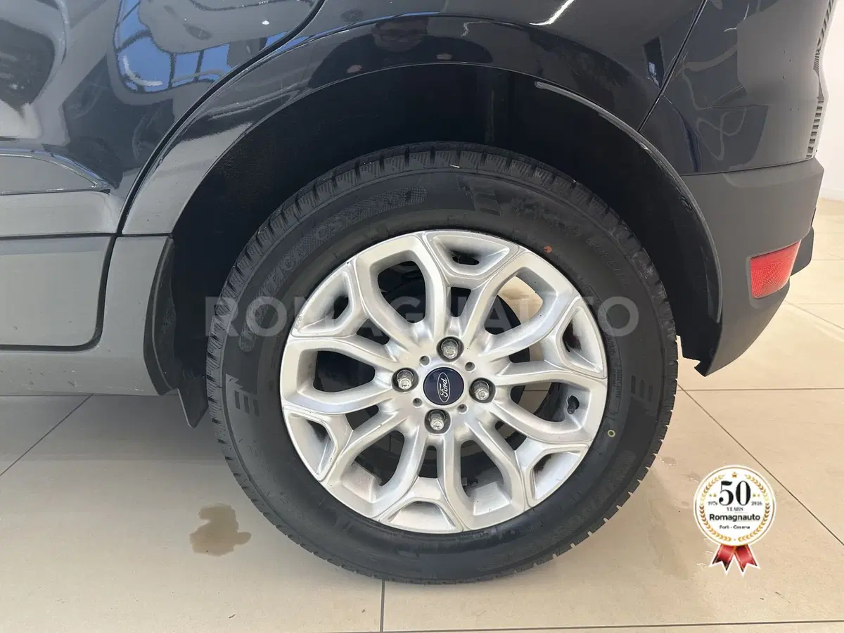 Ford EcoSport usata a Forlì-Cesena (9)