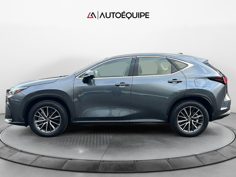 Lexus NX usata a Roma (2)