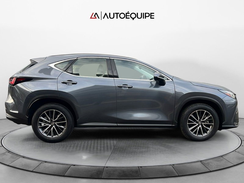 Lexus NX usata a Roma (6)