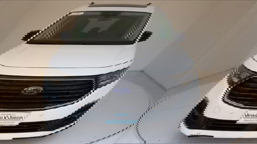 Ford Tourneo Connect usata a Lucca (2)