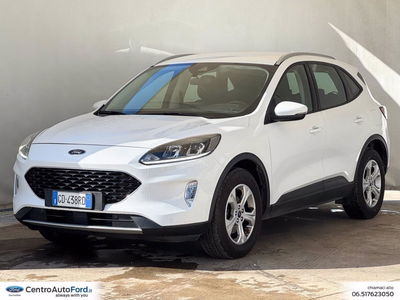 Ford Kuga 1.5 EcoBlue 120 CV 2WD Titanium del 2020 usata a Albano Laziale