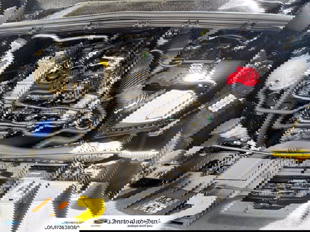 Ford Puma usata a Roma (12)