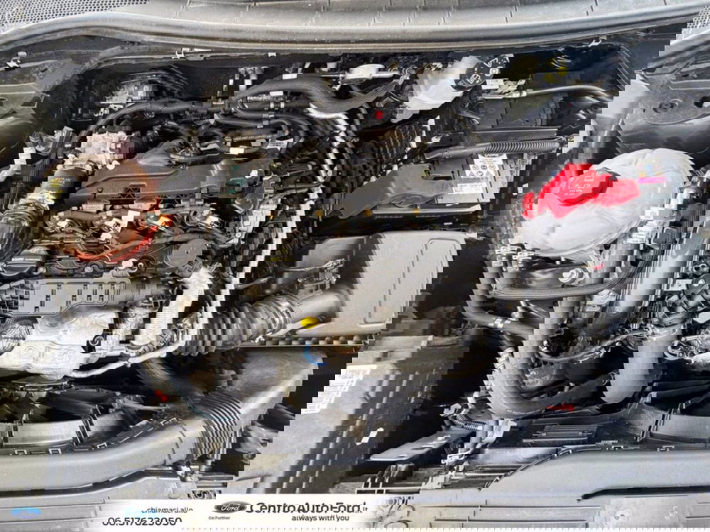 Ford Kuga usata a Roma (13)